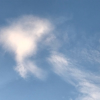 Meditations in Mindfulness 