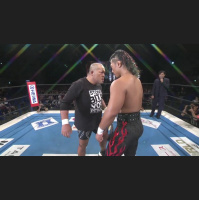 53: G1 Climax 29: Nights 12-16 Review