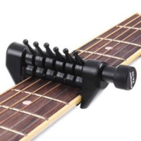 The Spider Capo