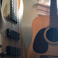 Swamp Stomp - My Collab with Brazilian Super Bassist (Boris)