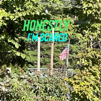 Honestly, I’m Scared 