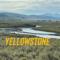 Yellowstone 