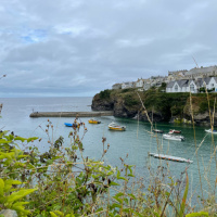 Trying to Stay Afloat 