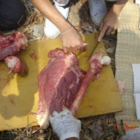 Voici le songe que jai eu sur la Chine il y a très longtemps... Apocalypse