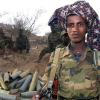 Comprendre la Guerre du Tigré...
