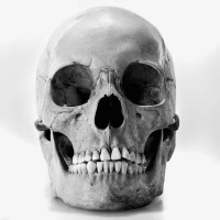 Le Cannibalisme Chez Les Fang : Partie 1 le Vampire LEvus et la place importante du Sorcier dans notre Société