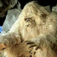Le Yeti : LAbominable Homme des Neiges....
