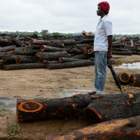 Le plus Grand génocide sur Terre : LEurope, LAsie et LAmérique connaîtront le jugement Divin Pour leur Innombrables Crimes 