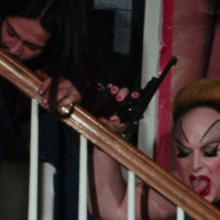 Vampiresados 260: Cria flamencs roses i et treuran els ulls