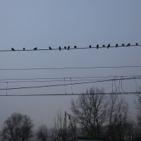 Vampiresados 259: El so estereofònic i la mare que el va parir