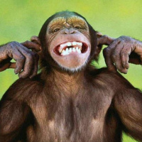 Vampiresados 317: Fressa melodia fressa