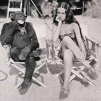 Vampiresados 354: El món de cap per avall