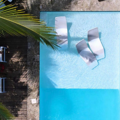 Sensual Intelligence