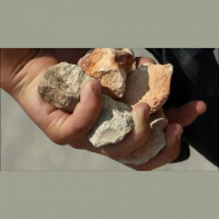 The Conscience - The Body of Christ - Dealing with our Hearts (Bond Servant 07-04-2016)