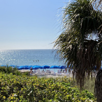 The Tuesday TurnAround 