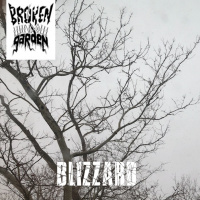 Blizzard - January 29, 2022