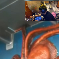 April 11, 2018 - Leg Of An Octopus (FBLive Broadcast)