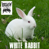 White Rabbit - April 15, 2022