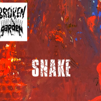 Snake - February 12, 2022