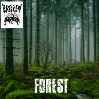 Forest - November 25, 2021