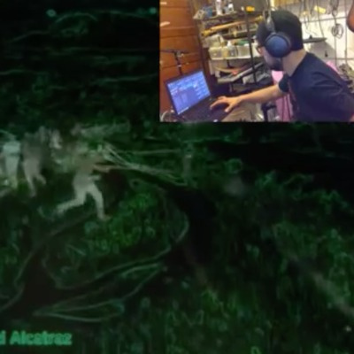 Broken Window Garden