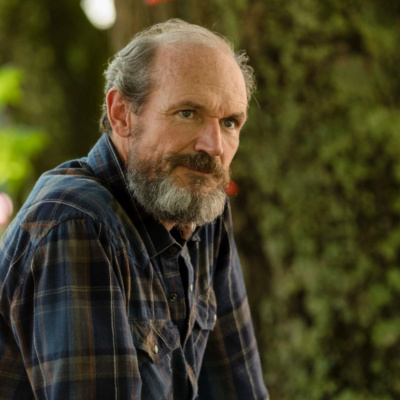 Broken Window Garden