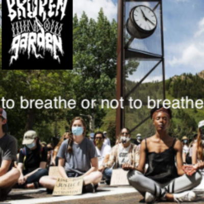 Broken Window Garden