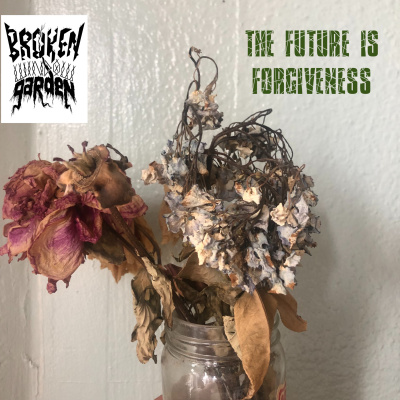 Broken Window Garden