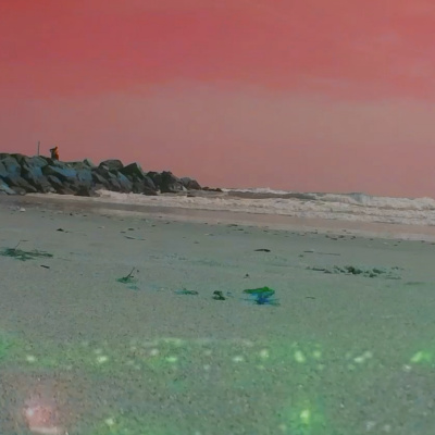 Broken Window Garden