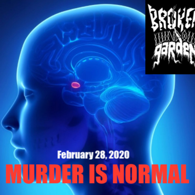 Broken Window Garden