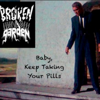 Broken Window Garden