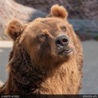 Selling Out, Ranch Life  The Council of Tuckers | JJMW #470