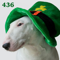 #436: Irish-Americans