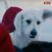 #426: Krypto, Take Me Home