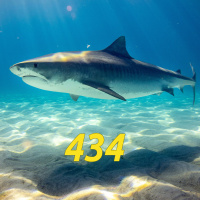 #434: This Episode Is Not About Sharks