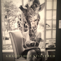 #x201CYou Are Never Alone#x201D