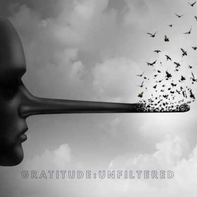 Joshua T. Berglans Gratitude:unfiltered