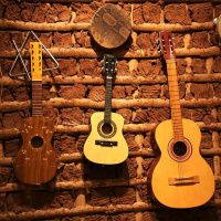 Folk n Roll - puntata 6