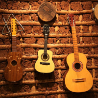 Folk n Roll - puntata 9