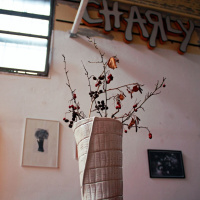 Il Checkpoint Charly di Bologna - Intervista ad Elena Guidolin