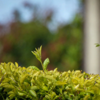 Film imprevedibili e marmo insospettabile: convenzioni