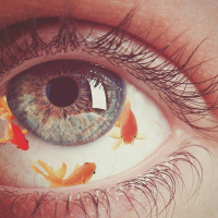 Film inesistenti, disastri mai accaduti e tarocchi tarocchi: falsità