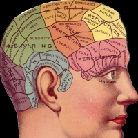 Libri e fumetti dimenticati: memoria