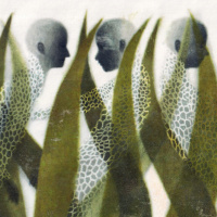 Walking Out of Time — an Emergence Magazine Practice