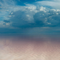 Thirty Years – Annabel Howard