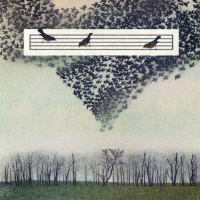 Listening to the Language of Birds — A Practice by David G. Haskell