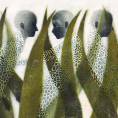 Emergence Magazine Podcast