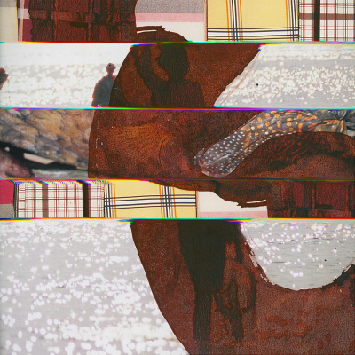 Emergence Magazine Podcast