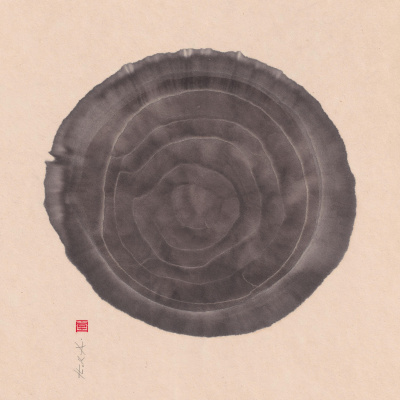 Emergence Magazine Podcast