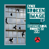 Lynx - Broken Image (Nad Afro Sky Mix)